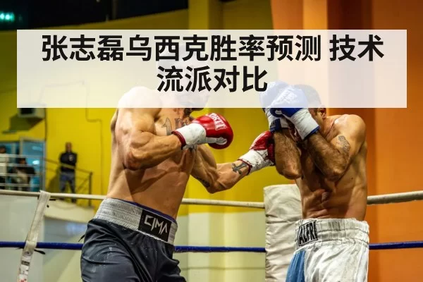 张志磊乌西克胜率预测 技术流派对比